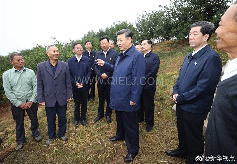 光山油茶籽榨油設備，山茶籽油榨油機廠家(圖3)