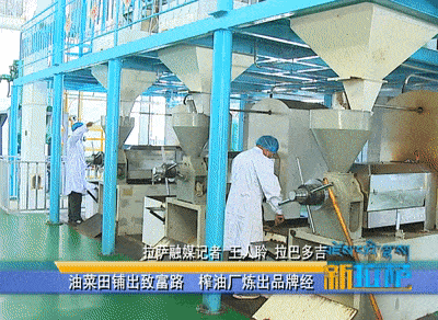 西藏企鵝糧油機械設備案例之墨竹工卡縣小油菜榨油廠項目(圖2) 西藏企鵝糧油機械設備案例之墨竹工卡縣小油菜榨油廠項目(圖2)