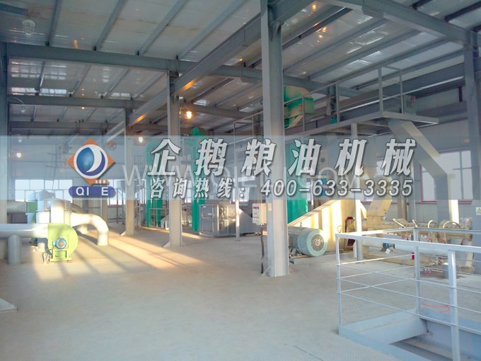 如何提取到高質量的大豆油?一條企鵝浸出生產線就足夠了(圖2) 如何提取到高質量的大豆油?一條企鵝浸出生產線就足夠了(圖2)